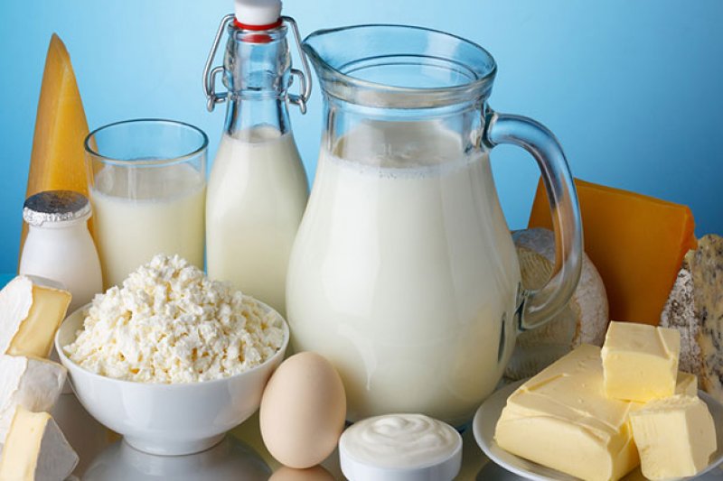 Сорока продукты