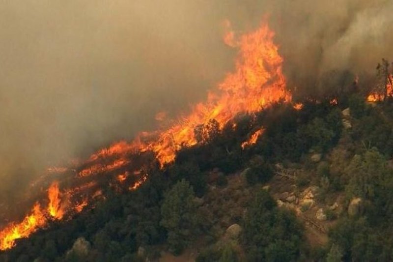 52-year-old-man-arrested-over-suspected-wildfires-in-southern-albania