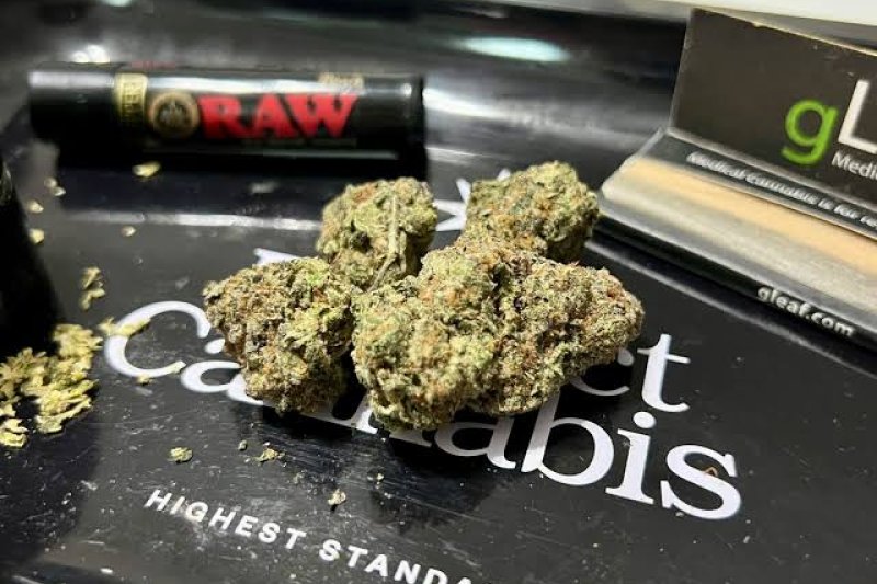 albania-introduces-new-rules-for-cannabis-oversight-and-tracking